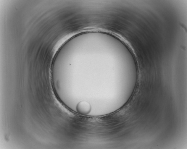 X0000101411239200807070958