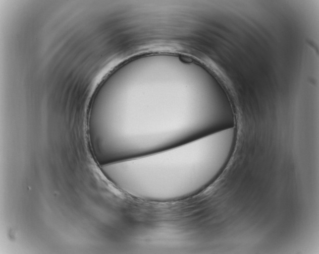 X0000101411240200807070958