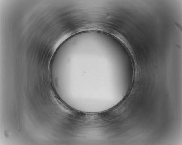 X0000101411242200807070958