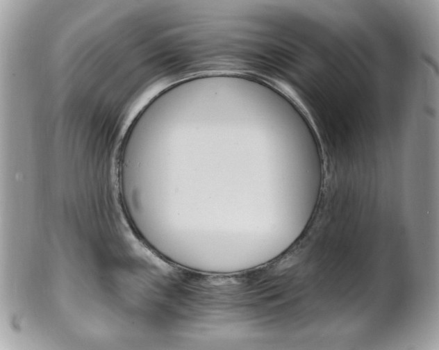 X0000101411243200807070958