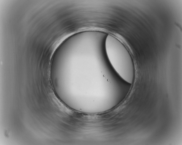 X0000101411244200807070958