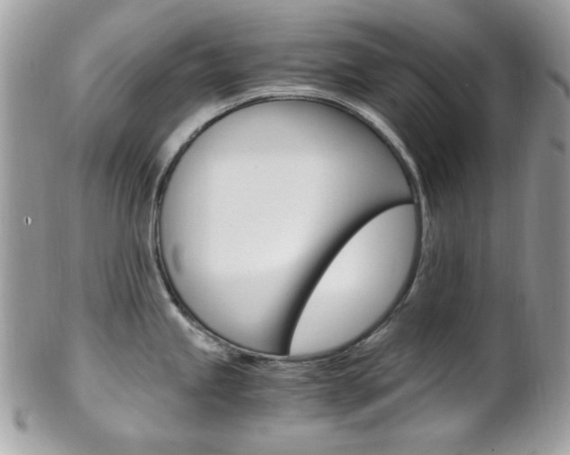 X0000101411245200807070958