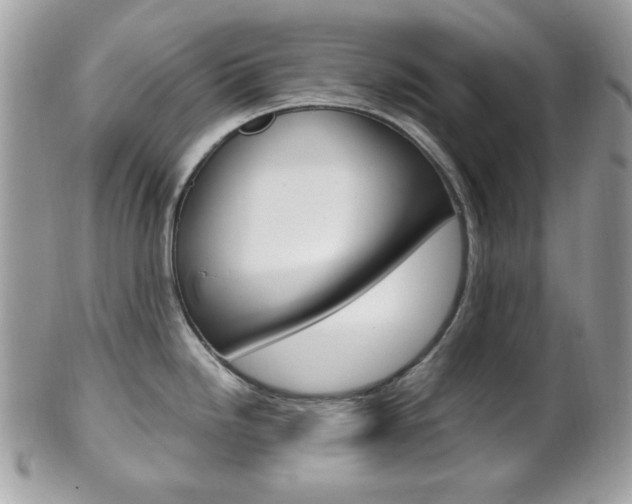 X0000101411246200807070958