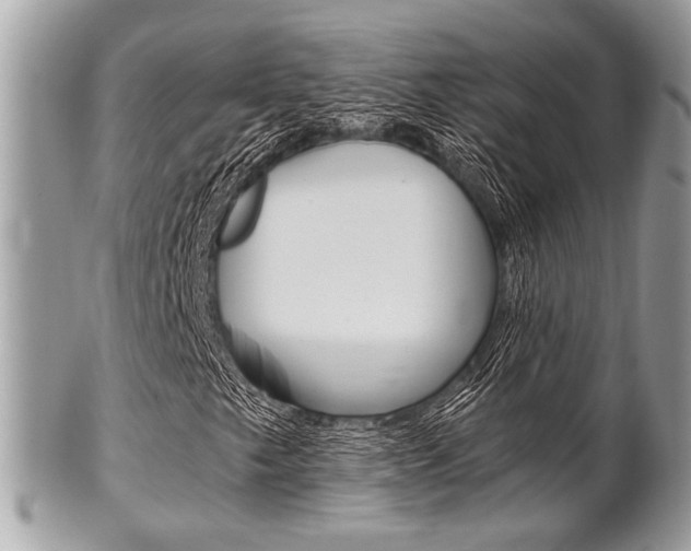 X0000101411249200807070958