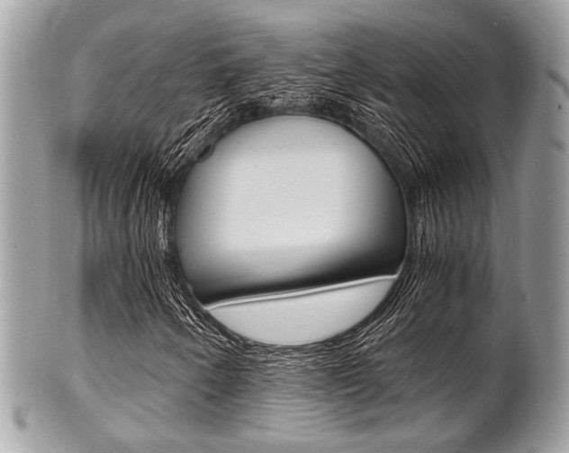 X0000101411250200807070958