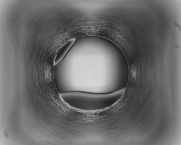 X0000101411252200807070958