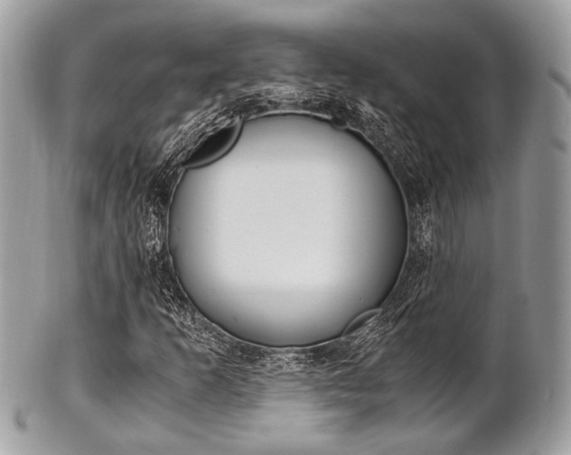 X0000101411253200807070958