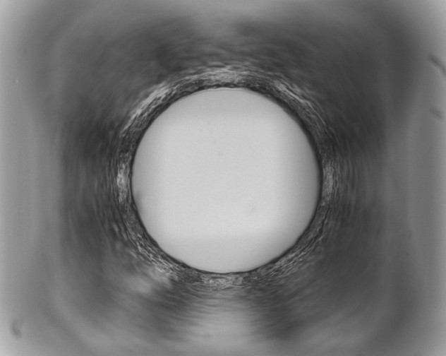 X0000101411254200807070958