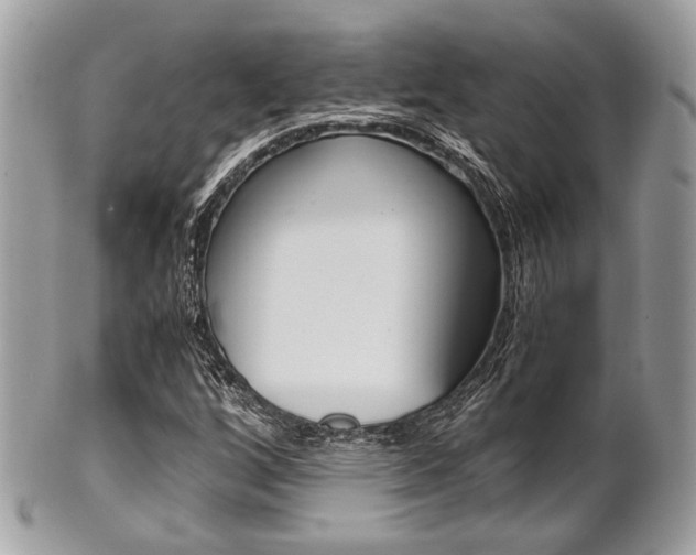 X0000101411256200807070958