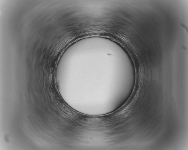 X0000101411257200807070958