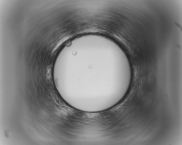 X0000101411258200807070958