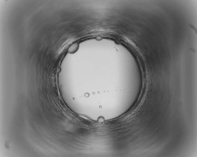X0000101411259200807070958