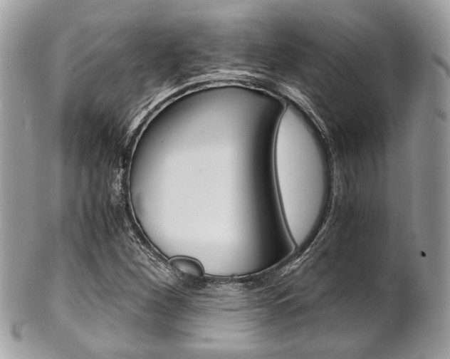 X0000101411260200807070958