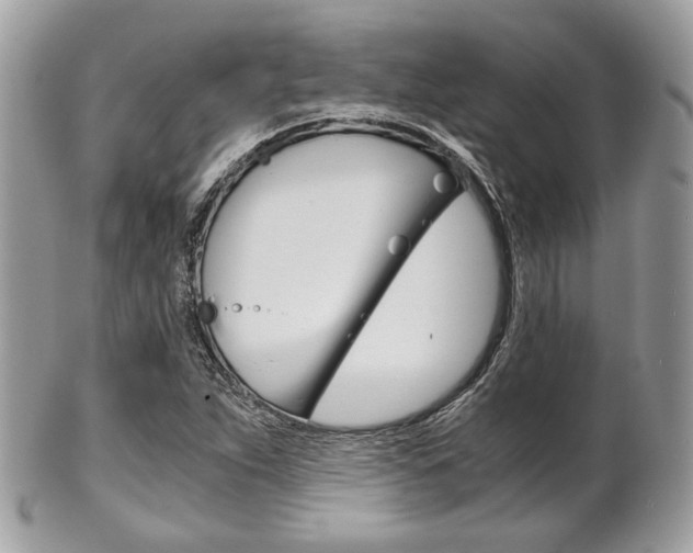 X0000101411263200807070958