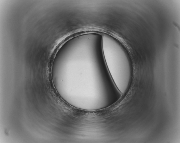 X0000101411264200807070958