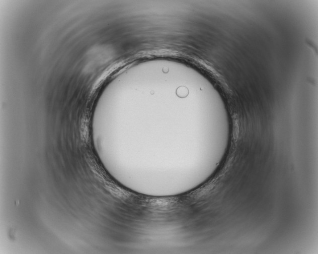 X0000101411266200807070958