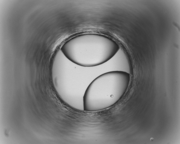 X0000101411267200807070958