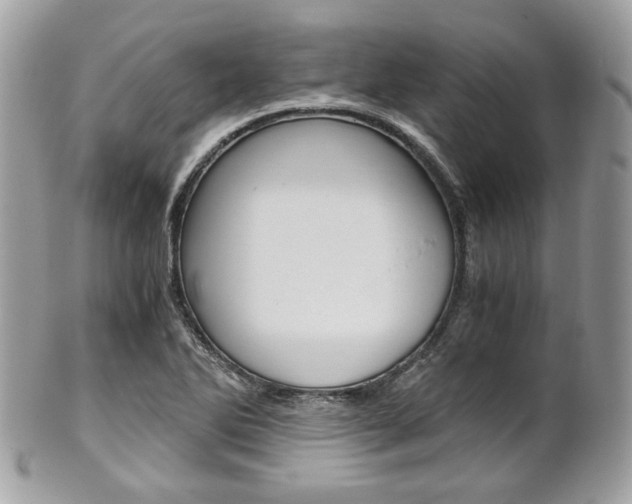 X0000101411270200807070958