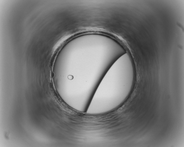 X0000101411271200807070958