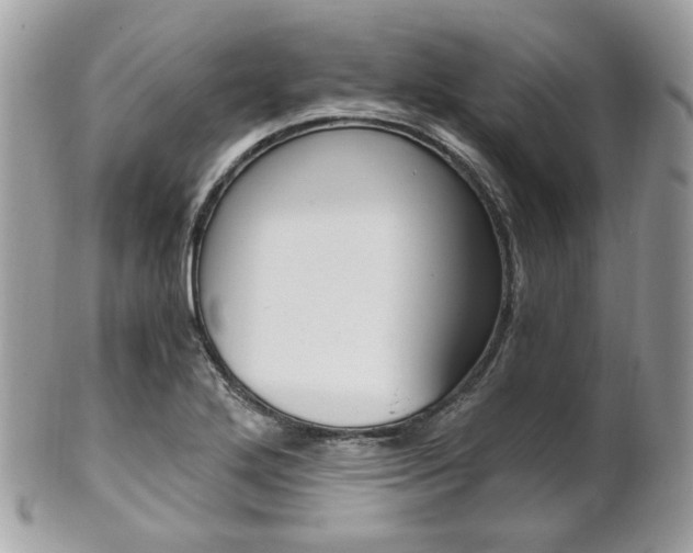 X0000101411272200807070958