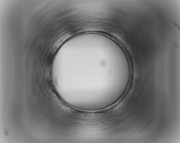 X0000101411273200807070957