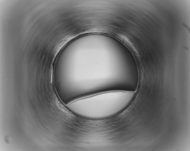 X0000101411276200807070957
