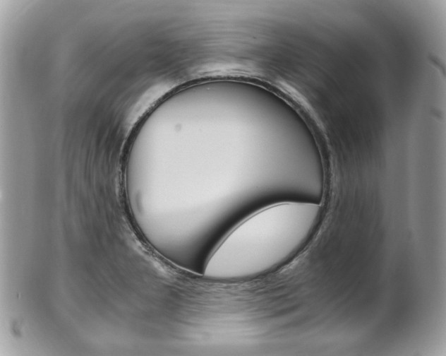 X0000101411277200807070957