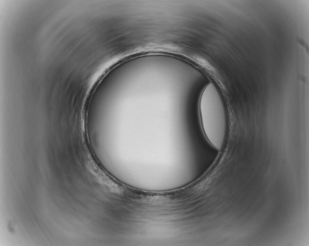 X0000101411280200807070957
