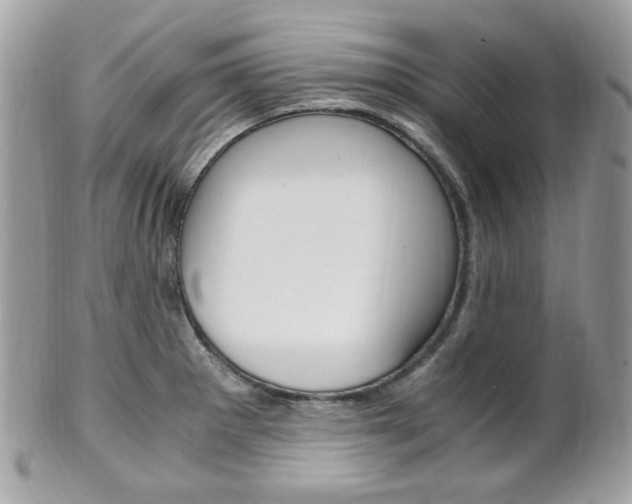 X0000101411281200807070957