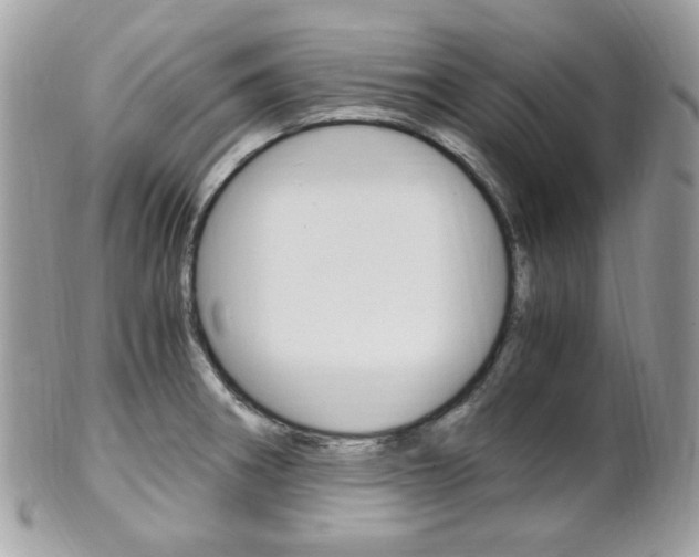 X0000101411282200807070957