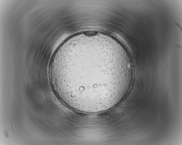 X0000101411283200807070957
