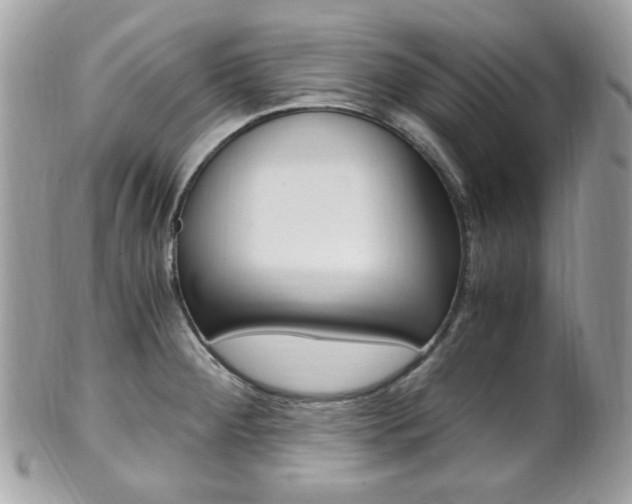 X0000101411284200807070957