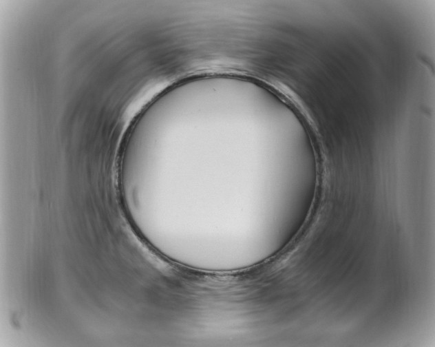 X0000101411285200807070957