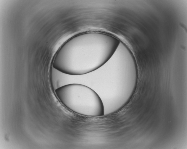 X0000101411287200807070957