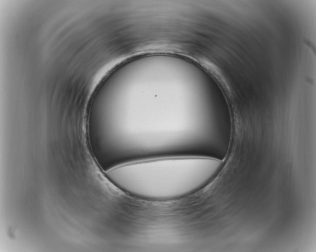 X0000101411288200807070957