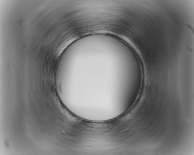 X0000101411289200807070957