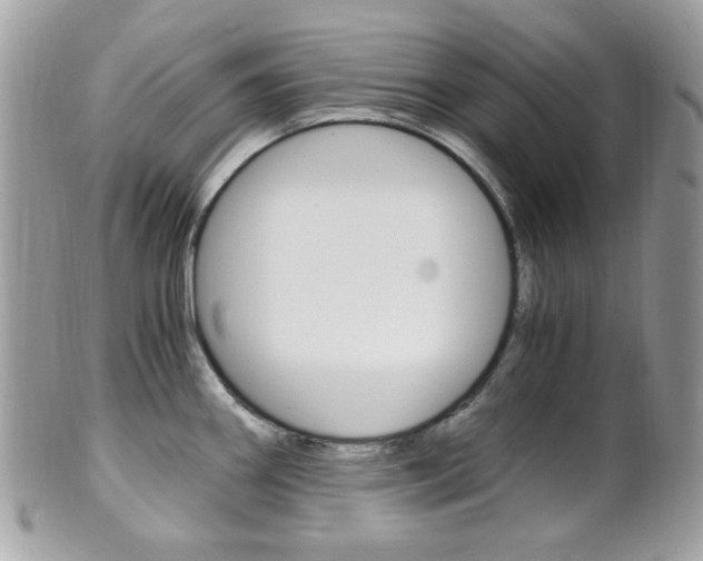 X0000101411290200807070957