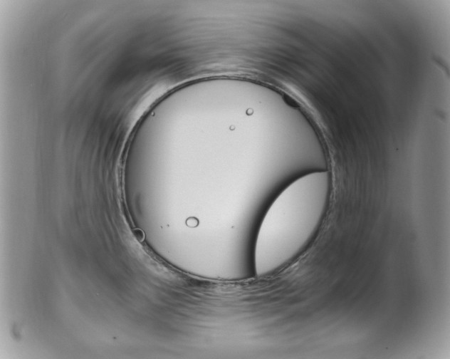 X0000101411291200807070957