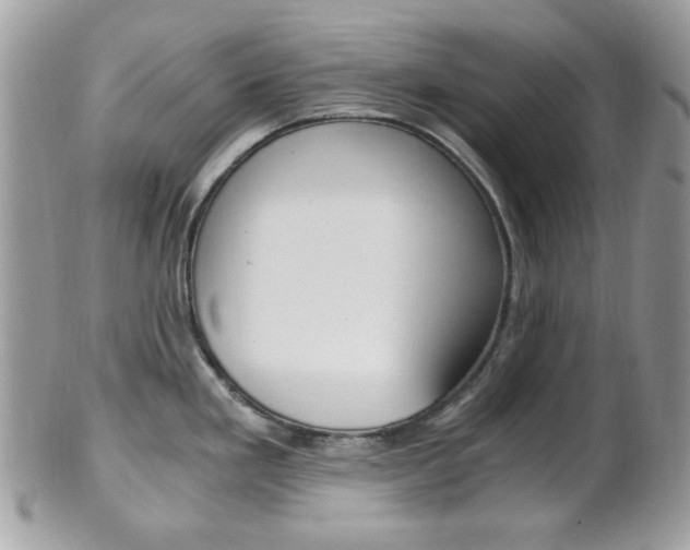 X0000101411293200807070957