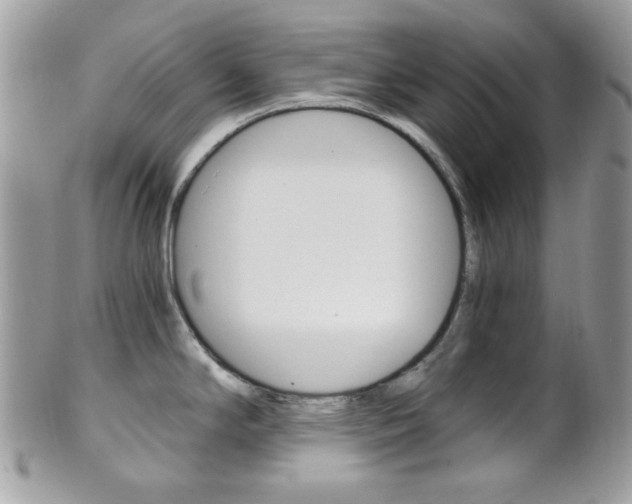 X0000101411294200807070957