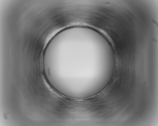 X0000101411295200807070957