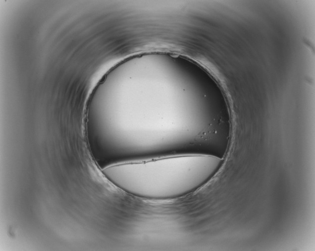 X0000101411296200807070957