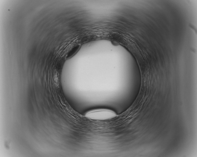 X0000101411298200807070956
