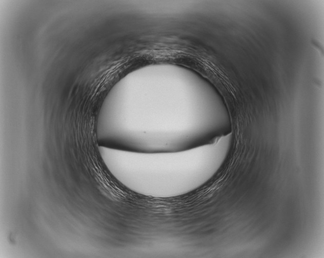 X0000101411300200807070956