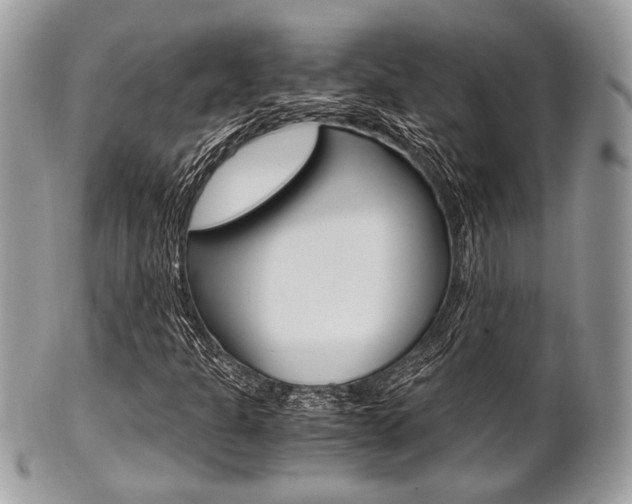 X0000101411301200807070956