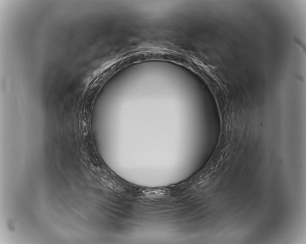 X0000101411303200807070956