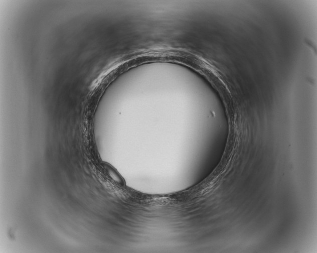 X0000101411304200807070956