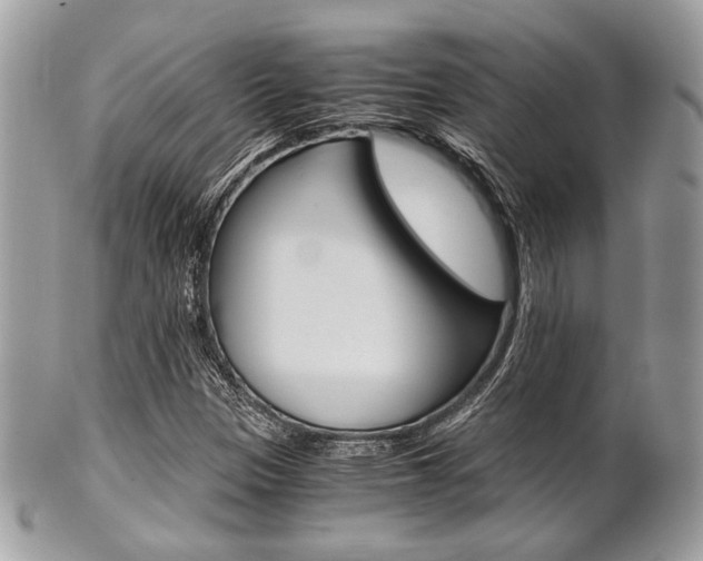 X0000101411305200807070956