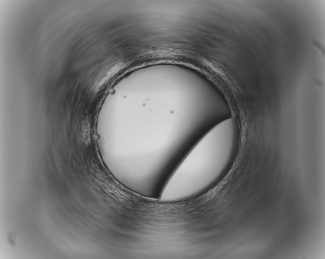 X0000101411306200807070956