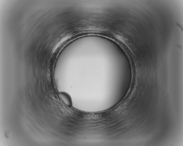 X0000101411307200807070956